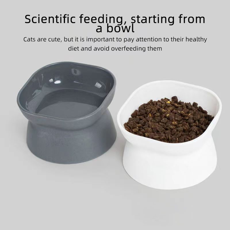 Ciotola per cibo per gatti/can - Baby Food Cat recensione e prezzo