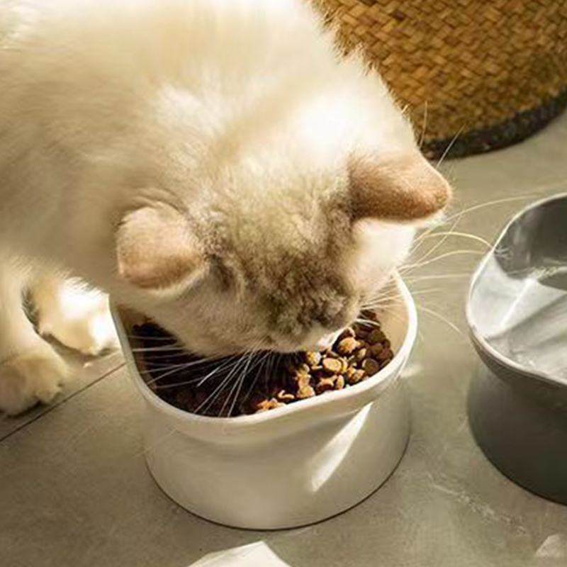 Ciotola per cibo per gatti/can - Baby Food Cat recensione e prezzo