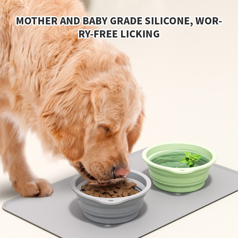Ciotola Pieghevole in Silicone - Baby Food Cat recensione e prezzo