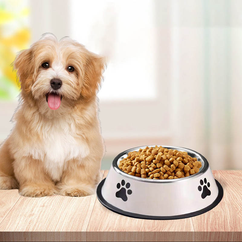Ciotola per Animali Domestici  - Baby Food Cat recensione e prezzo