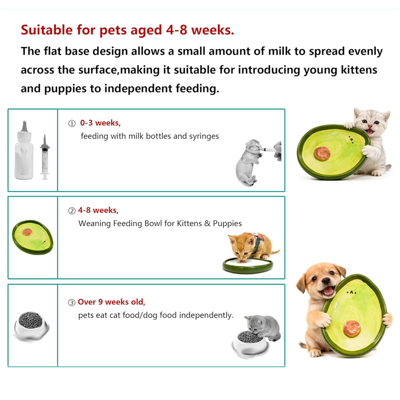 Ciotole per Gatti, Ciotola in  - Baby Food Kitten recensione e prezzo