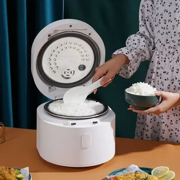 Cuociriso intelligente da 3L a - Baby Food In Japan recensione e prezzo