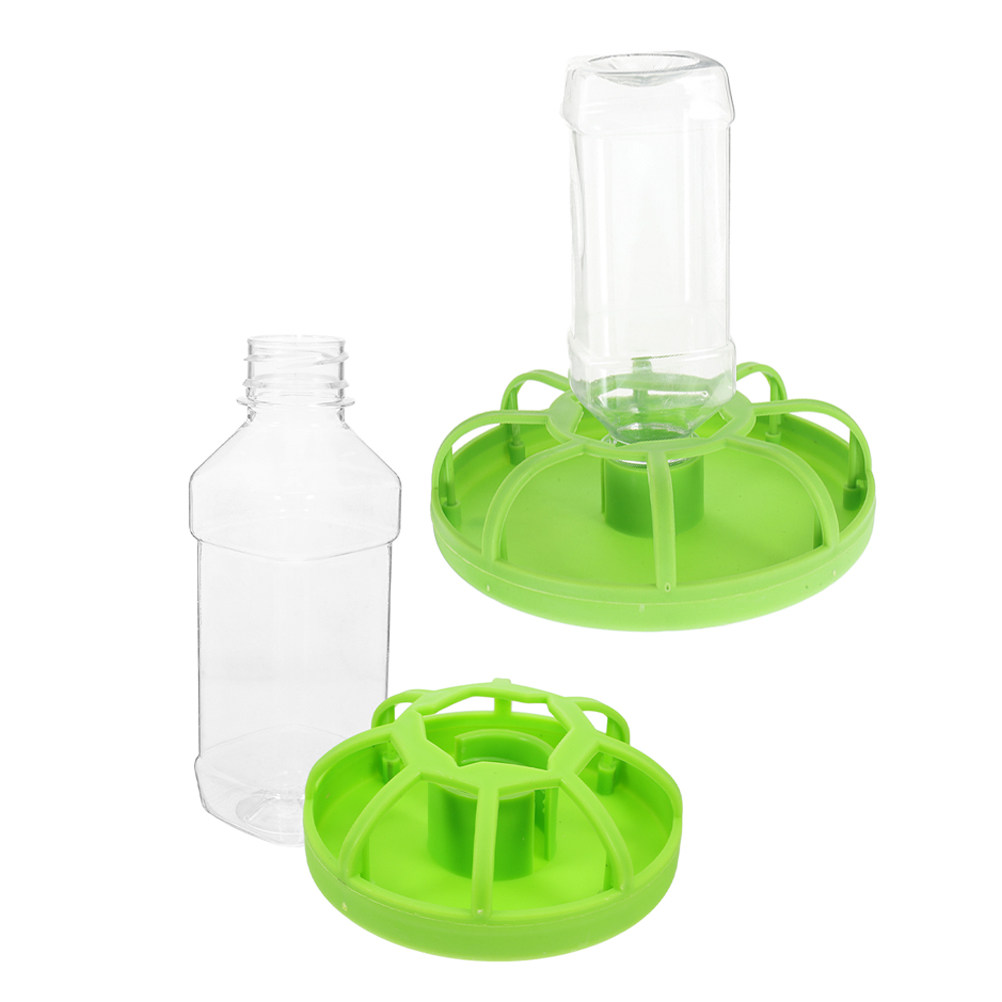2 Set di Mangiatoie per Quagli - Feeding Baby Food recensione e prezzo