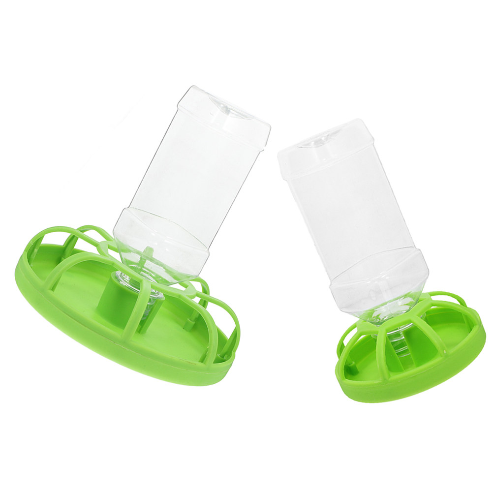 2 Set di Mangiatoie per Quagli - Feeding Baby Food recensione e prezzo