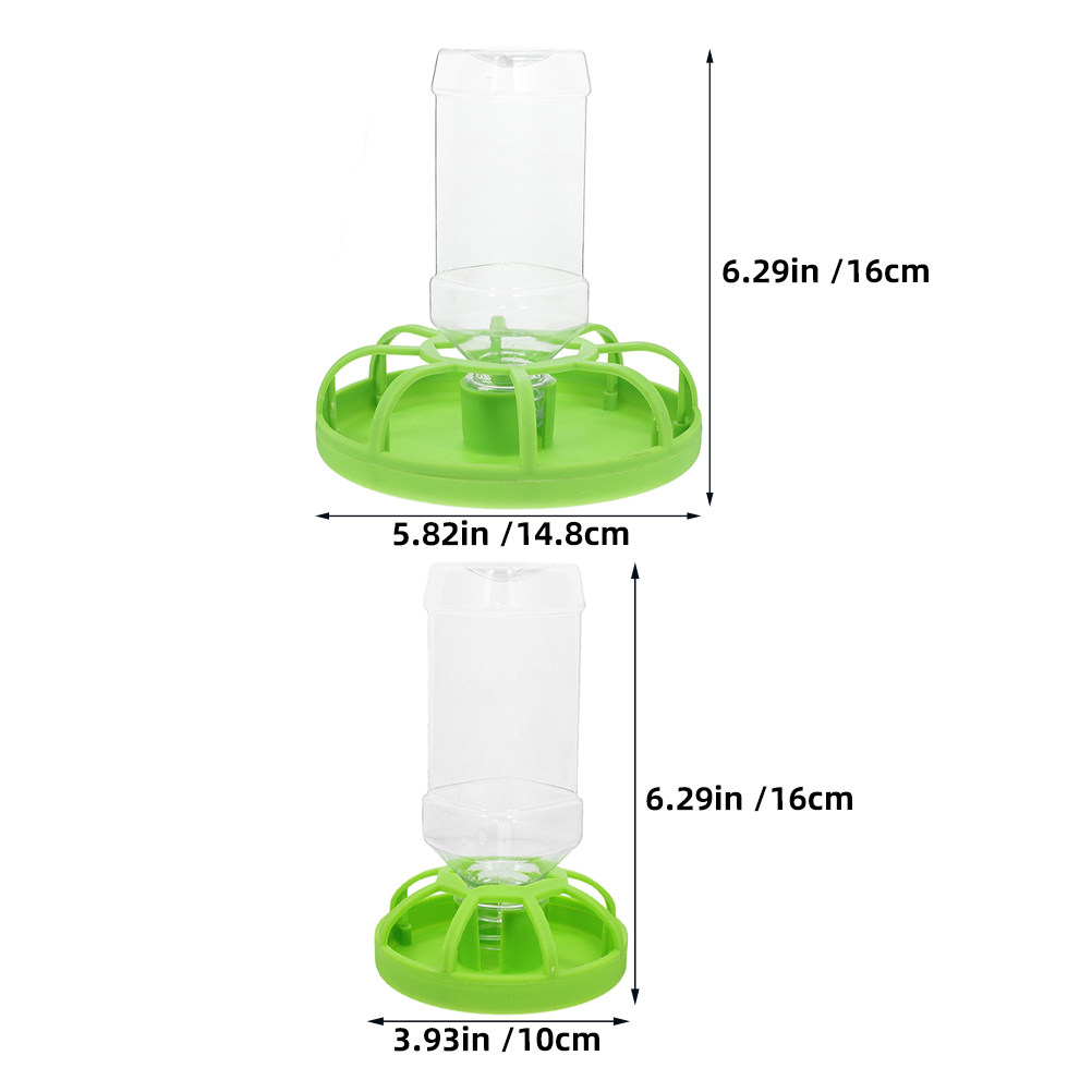2 Set di Mangiatoie per Quagli - Feeding Baby Food recensione e prezzo